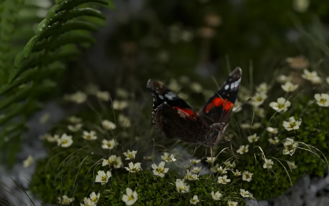 A red admiral butterfly among small white flowers and moss, the background soft.