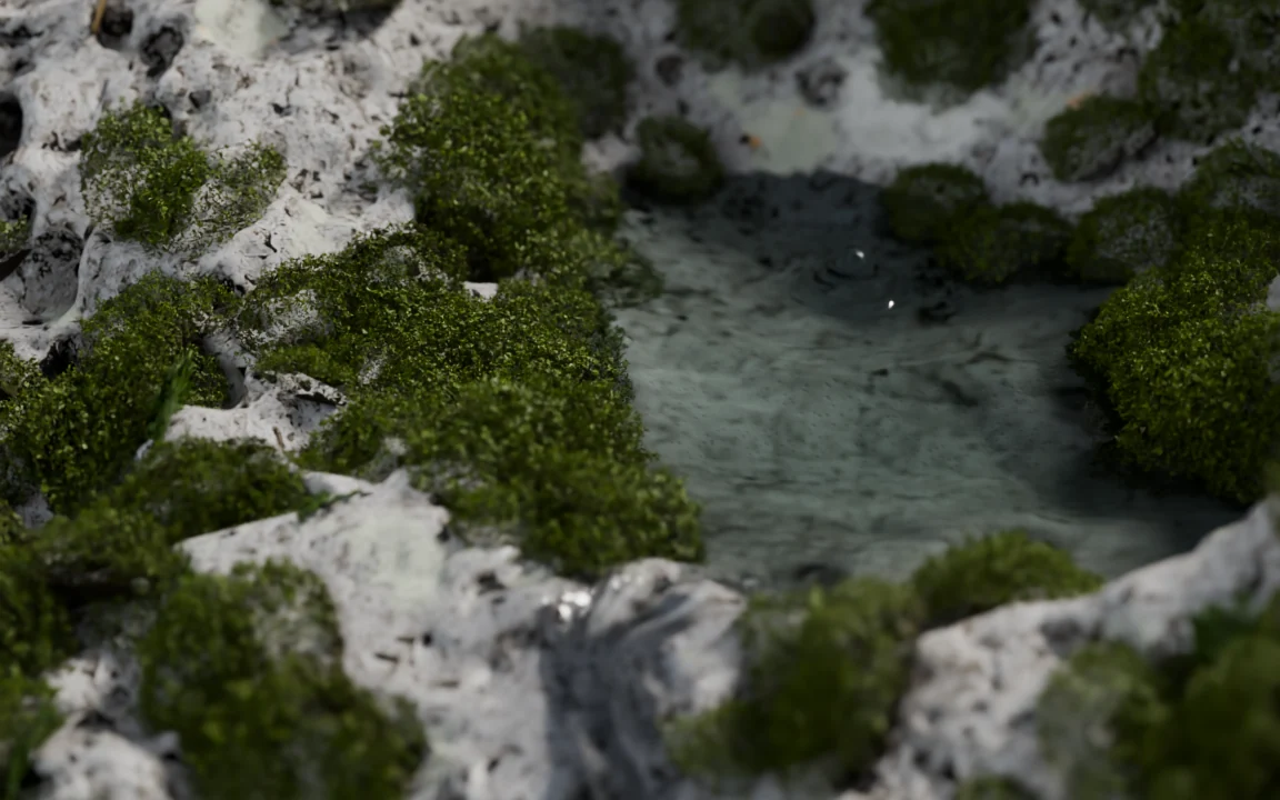 A pool of clear water in a hollow of pumice, ringed with cushions of moss.